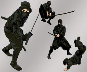 yapboz Çeşitli pozisyonlarda Ninja